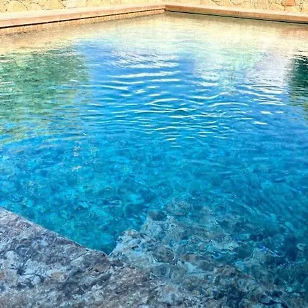 Avec Piscine A Porto-vecchio * ポルトヴェッキオ