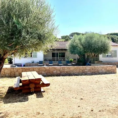 Avec Piscine A Porto-vecchio ヴィラ