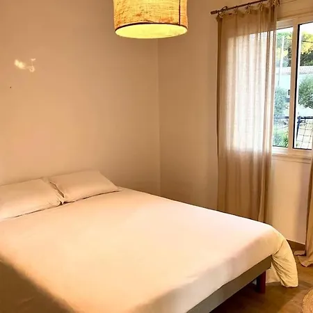 Avec Piscine A Porto-vecchio ヴィラ *